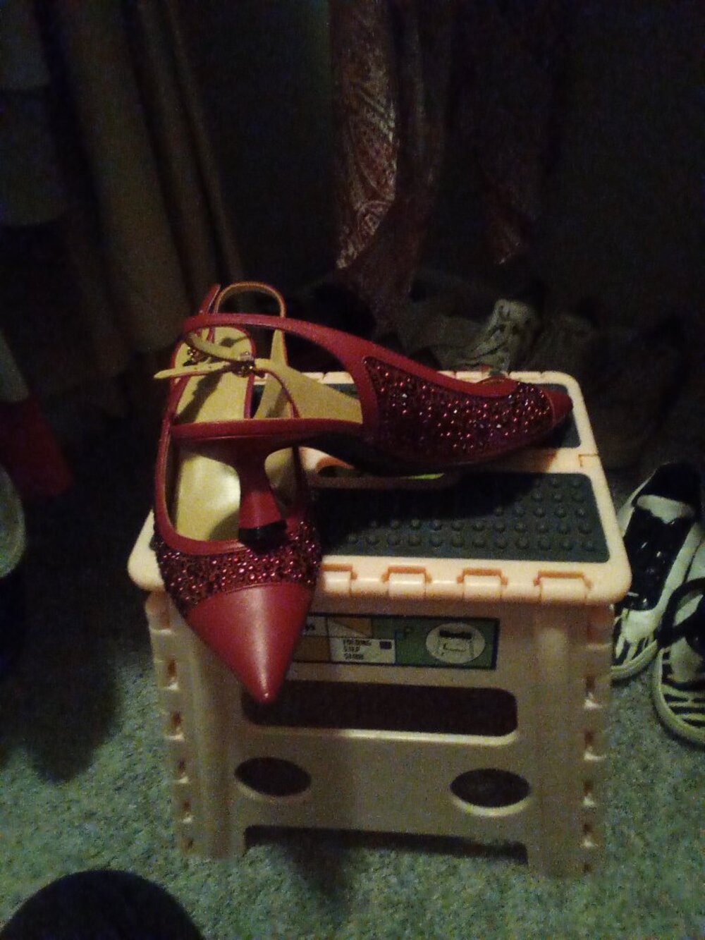 Michael Kors Alora Oxblood Crystal Pointed Toe Slingback Pumps